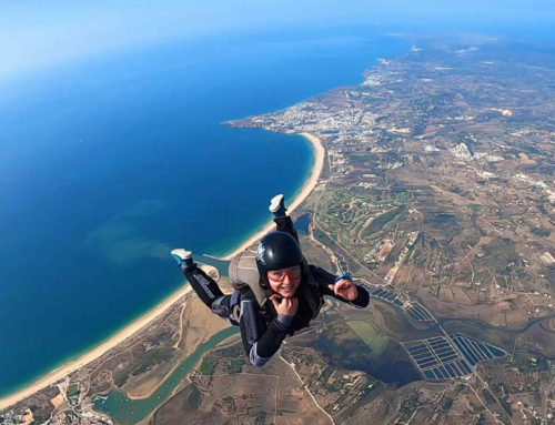 Discipline Education: So You Want to be a Skydiver?